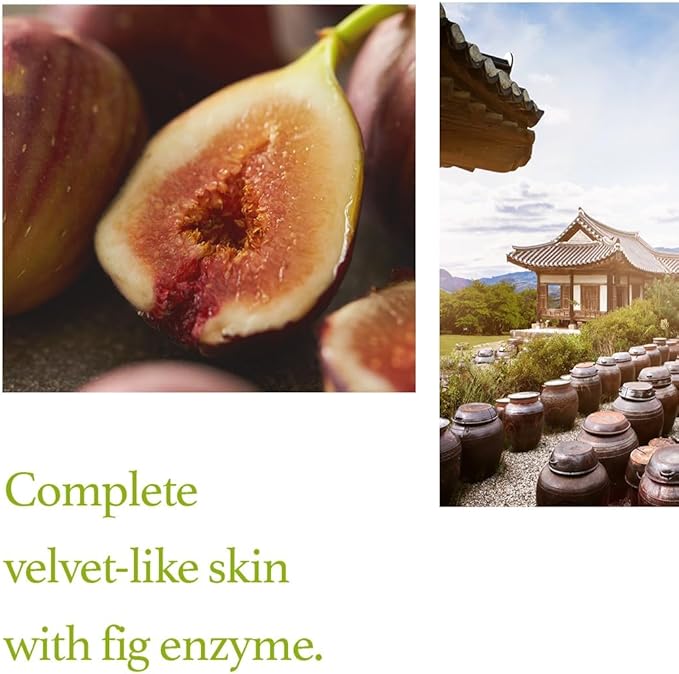 I'M FROM Fig Scrub Mask