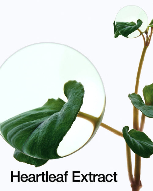 HEARTLEAF LHA MOISTURE PEELING GEL - Velvet Vanity