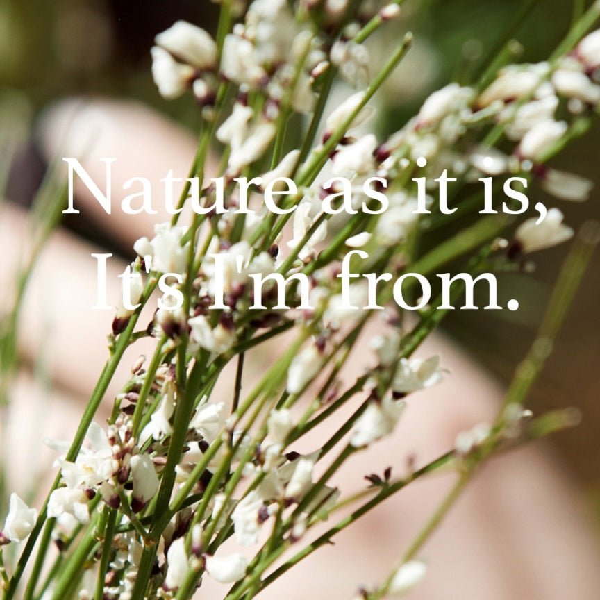 Rice Serum - Velvet Vanity